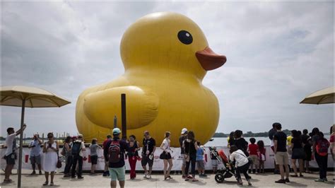 Worlds Largest Rubber Duck Returning To Torontos Waterfront Ctv News