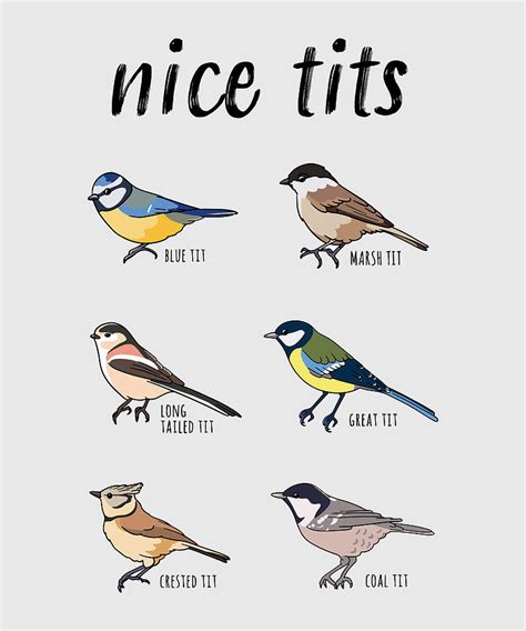 Bird Watching Funny T Nice Tits Digital Art By Philip Anders Fine