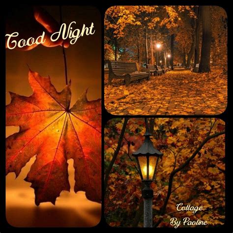 Good Night Autumn Images Photographyofwallart
