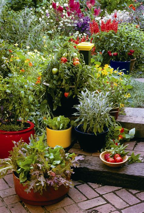 Consult Rosalind Creasy Before Planting A Kitchen Garden Edible