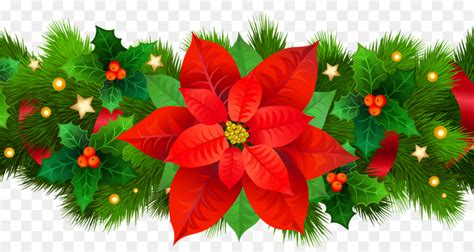 Cuidados después de la navidad, hoy os traemos la última entrega de esta miniserie, con los síntomas de las plagas y enfermedades que pueden afectar a nuestra planta de hojas rojas. La Flor De Pascua, La Resolución De La Imagen, Adorno De Navidad imagen png - imagen ...