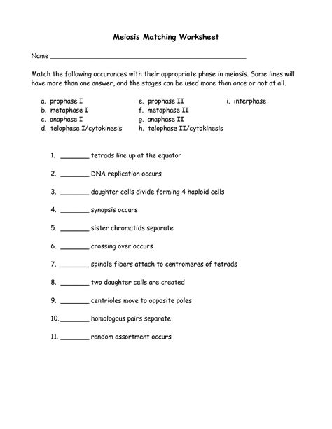 The sister chromatids are moving apart. 15 Best Images of Phases Of Meiosis Worksheet - Meiosis ...