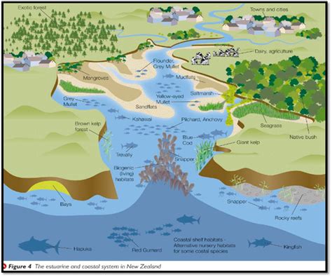 A Level Geography Blog Coastal Systems And Management