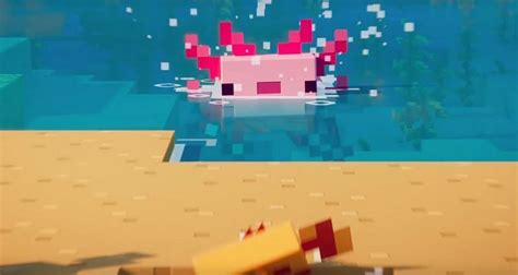 Axolotls In Minecraft Mudfooted