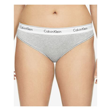 Calvin Klein Calvin Klein Intimates Gray Solid Everyday Thong Plus Size 2x