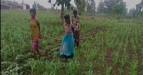 Madhya Pradesh Farmer Who Used Daughters To Plough Field Will Now Be