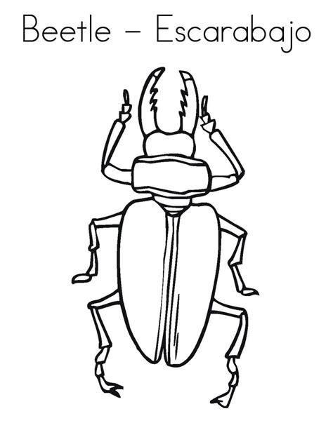 675x775 insect coloring pages insect coloring page insect coloring. Free Printable Bug Coloring Pages For Kids