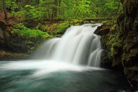 Thundering Waters At Whitehorse Falls Umpqua National Forest The