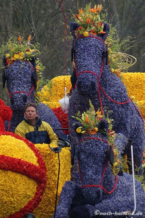 Erst sind die krokusse an der reihe, dann folgen die narzissen und hyazinthen und zum. Der Blumenkorso im Bollenstreek, ein duftendes ...