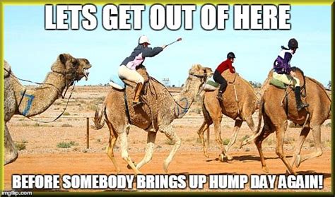 35 Very Funny Hump Day Memes S Pictures And Photos Picsmine
