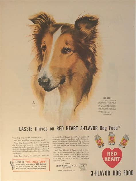 1947 Red Heart 3 Flavor Dog Food Lassie Prospera Su Di Etsy