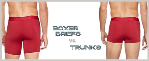 what s the difference between boxer briefs and trunks