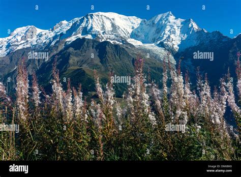 Mont Blanc Mountain Range Seen From Le Prarion Stock Photo Alamy