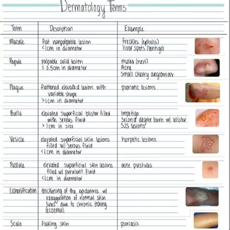 Dermatology Skin Conditions 2 Pages Printable Pdf Immediate Download