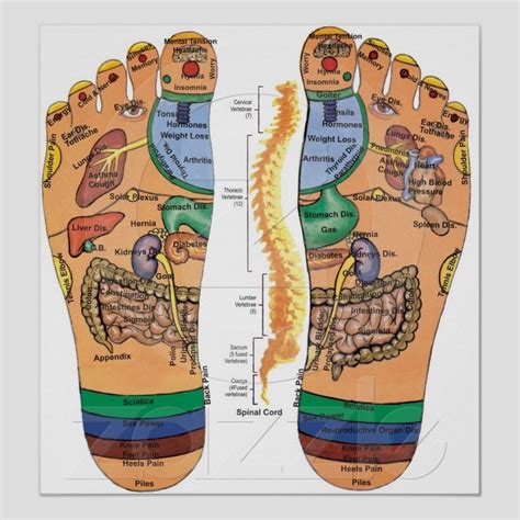 Acupuncture Foot Points Treatment Chart My Kinda Crazy Pinterest