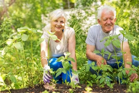 15 Best Gardening Tools For Seniors