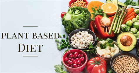 Plant Based Diet In Singapore How Do You Start And Food List