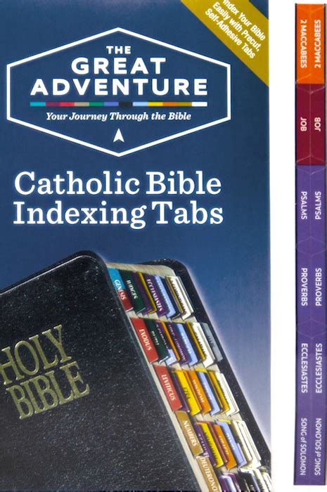 Pre Order Up To 8 Weeks Delivery Great Adventure Catholic Bible
