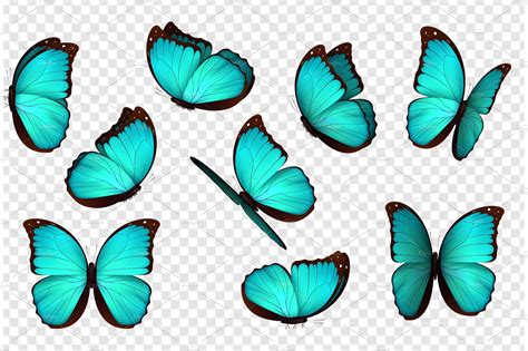 Butterfly Vector Illustration Animal Illustrations Creative Market