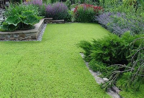 Green Lawns And Bright Yard Landscaping Ideas Celebrating Emerald Green