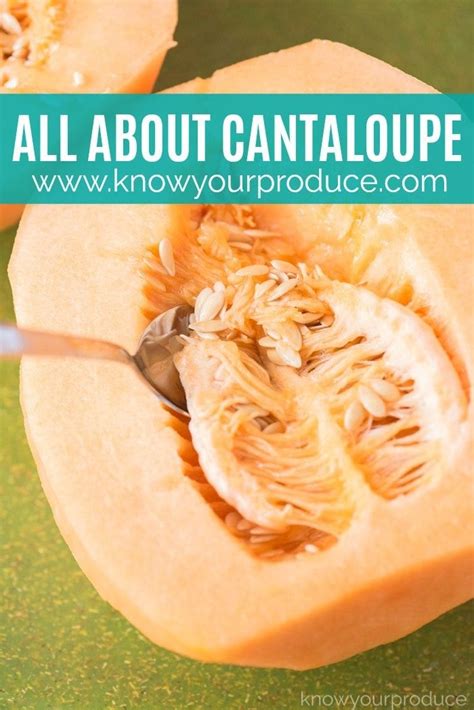 Learn All About Cantaloupe From Benefits Of Cantaloupe How To Pick Cantaloupe Even Delicious