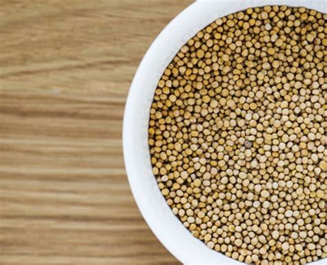 The small, ball shaped seeds are widely used to spice up asian curries keep your coriander seeds in a cool dry place. Add Coriander Seeds To Your Diet For These Amazing Health ...