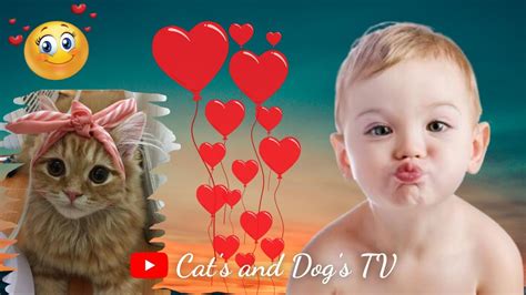 ️awesome Babies👶 And Funny Pets Compilation Funny 🐱cats And Dogs🐶 🥰