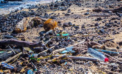 Among the top 10 kinds of trash picked up during the 2017 dispose of waste properly no matter where you are. Ocean plastic waste getting you down? Bust through the ...