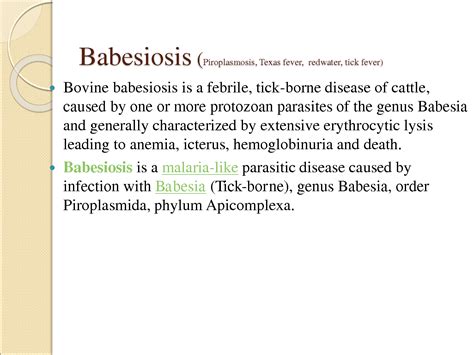 SOLUTION Babesiosis In Cattle Studypool