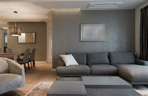 Small Living Hall Interior Design Ideas Best Design Idea