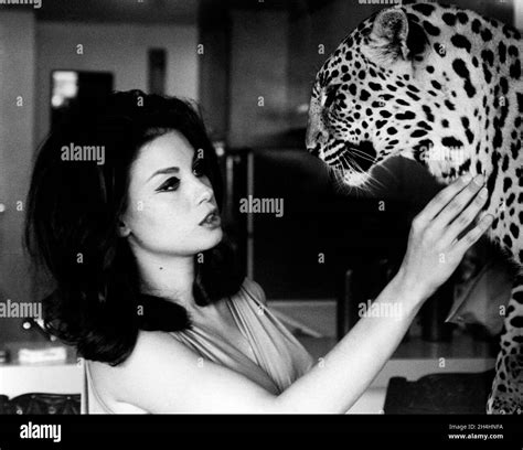 american actress lana wood svetlana nikolaevna zakharenko caressing a leopard usa 1966