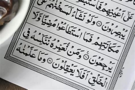 Al Quran Surah Abasa Ayat 21 Sampai 30 Lengkap Dengan Terjemahan Bahasa