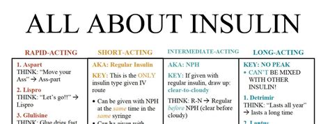 All About Insulin Nursing Study Sheets Etsy