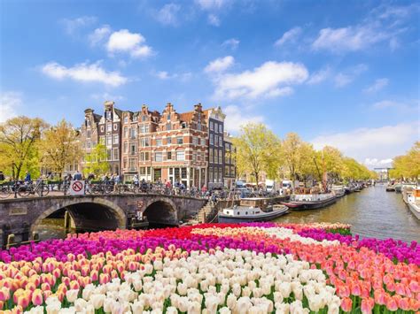 Amsterdam, Netherlands Travel Guides for 2021 - Matador