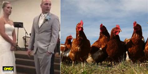 Hicken Pervert Man 37 Admits Having Sex With Chickens As Wife Filmed
