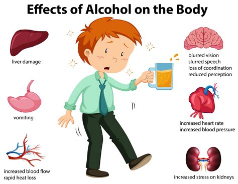 Effects Of Alcohol On The Body 301647 Vector Art At Vecteezy