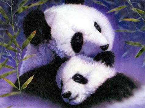 Panda And Cub Pandas Wallpaper 10510894 Fanpop