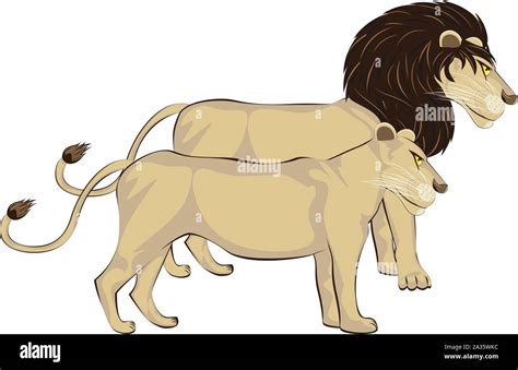 Male And Female Lions Standing Cartoon Animals Illustration Stock