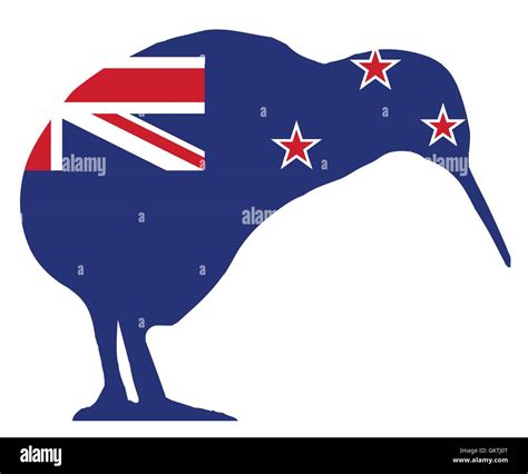 New Zealand Kiwi Bird Drawing Drawing New Zealand Birds Kiwi Clip Art