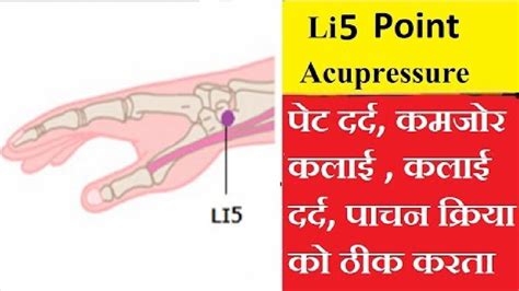 Li 5 Acupressure Points पेट दर्द कमजोरी कलाई दर्द पाचन क्रिया मे