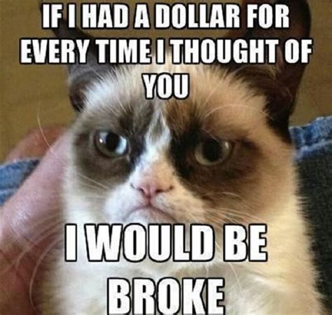 Grumpy Cat Is Gone But Her Memes Will Live On