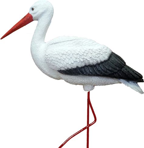 Stork Png Transparent Image Download Size 2040x2096px