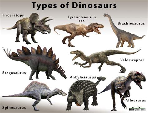 Types Of Dinosaurs Extinct Animals