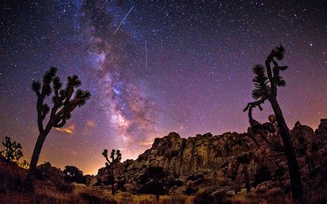 Milky Way Sky Over Joshua Trees In The Desert Hd Wallpaper Background