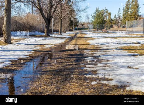 Spring In The Park With Melting Snow On The Ground Stock Photo Alamy