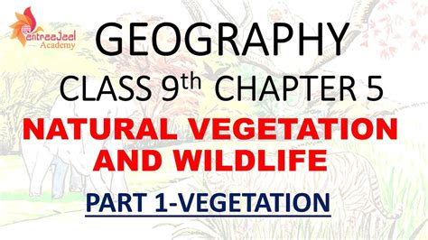 Natural Vegetation And Wildlife Class Geography Chapter Part