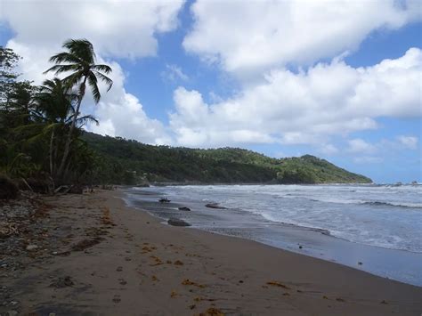 the 5 best beaches in dominica including mero beach and other beautiful spots