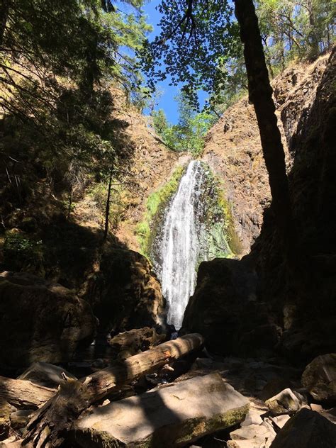 Susan Creek Falls Trail Oregon Alltrails