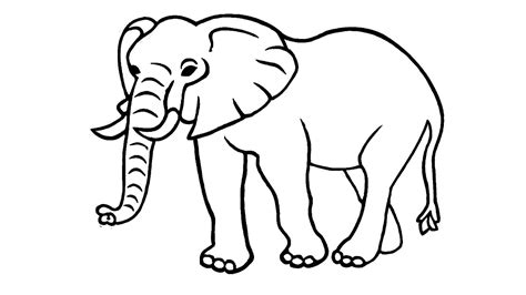 Belajar Menggambar Gajah Sketsa Gajah Youtube