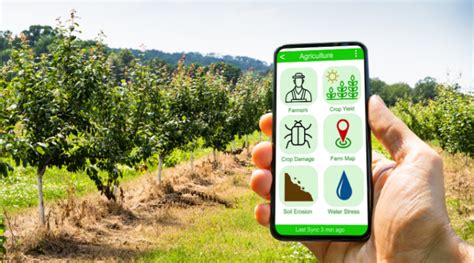 5 Must Have Features In An Agriculture App For Farmers Kheti Buddy